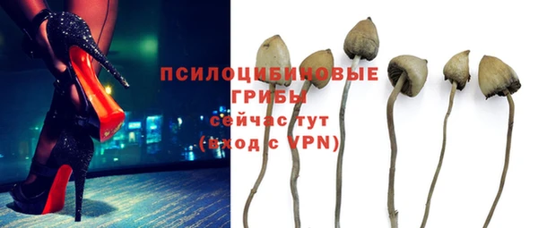 СК Абаза