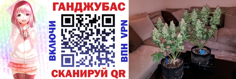 Марихуана гибрид  Туринск 